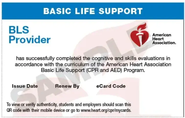 Sample American Heart Association BLS Provider eCard, the certification students earn through our AHA Basic Life Support course
